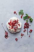 Pavloa with red currants