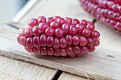 Corn on the cob with red grains (close-up)