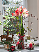 Amaryllis mit Zwiebel ohne Erde im Einmachglas, dekoriert mit Haselzweigen, Tannenzweigen, Christbaumschmuck, Tierfiguren und Windlicht am Fenster