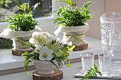 Strauß aus Christrosen-Blüten und Farnblättern, Töpfe mit Schildfarn und Wurmfarn mit Filz verkleidet