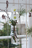 A small bouquet of Christmas rose, pine twig, and hazel twig in a glass bottle by the window