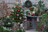 Christmas terrace: Nordmann fir decorated with fairy lights, stars, red ornaments and candles as a Christmas tree, small spruce with fairy lights