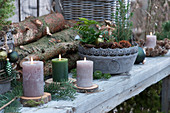 Weihnachtliche Dekoration mit Kerzen auf Holzscheiben und Schale mit kleiner Zuckerhutfichte, Farn, Zapfen und Christbaumschmuck