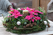 Christmas wreath with poinsettias and conifer branches