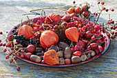 Ingredients for autumn floral decorations: Chinese lanterns, rose hips, acorns, privet berries and acorns