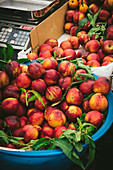 Nectarines on market