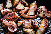 Frying octopus in a pan