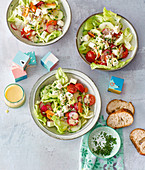 Colourful salad bowls with radishes and sheep's cheese