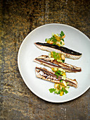 Mackerel with Indian curry cream