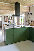 Cooking island with green drawers, above extractor hood in an open plan kitchen