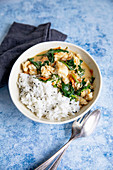 Fish curry with spinach and rice