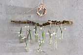 Hängende Dekoration im Wintergarten mit Schneeglöckchen in kleinen Fläschchen an Zweig, Kränzchen aus Gras