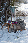 A Wooden sled with hot drinks, blankets, and fur in the snow