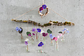 Hängendes Blütentableau an Zweig: Blüten von Usambaraveilchen in kleinen Fläschchen als Wanddekoration