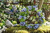 Frühlingskranz aus Vergißmeinnichtblüten und Storchschnabel-Blättern