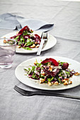 Beetroot salad with cashew nuts, rocket and pecorino