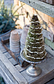 Mini fir trees made of moss, wrapped with a string of pearls