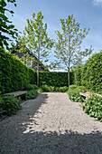 Sunny garden with gravel path and hedges