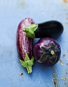 Verschiedene Auberginen auf blauem Untergrund