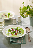 Chilled pea soup with mint and malt vinegar