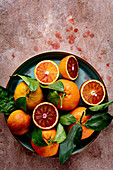 Plate with blood oranges and clementines