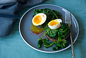 Potrobello 'toast' with spinach and egg