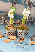 Hyacinths, gingerbread, and heart-shaped cookie cutters