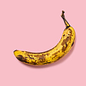 Überreife Banane auf rosa Hintergrund