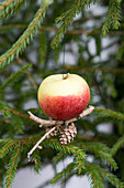 Apfel hängt am Weihnachtsbaum