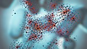 E. coli gene regulatory network, illustration
