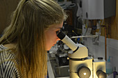 Student looking down a microscope