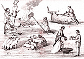 Butchering wild boar, illustration