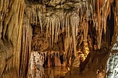 Baredine cave, Croatia