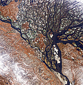 Lena river delta, satellite image