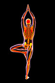 Yoga tree pose, illustration