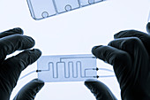 Organ-on-a-chip