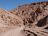 Road through Valle de Marte, Atacama Desert, Chile