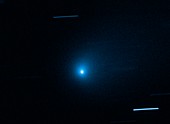Interstellar comet 2I-Borisov, Hubble Space Telescope image