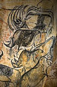 Rhino cave art, Chauvet Cave replica, France