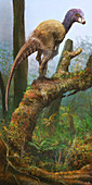 Kulindadromeus dinosaur, illustration