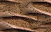 Sand dunes and boulders on Mars, MRO image