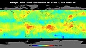 Global atmospheric carbon dioxide concentrations