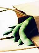 Fresh green beans in kraft paper bag