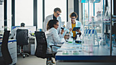 Scientists working in laboratory