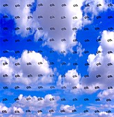 Atmospheric carbon dioxide, composite image