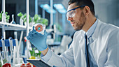 Scientist examining a lab-grown meat