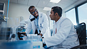 Smiling scientists working in a laboratory