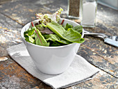 Mixed greens salad with salt and pepper