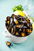 Steamed mussels with lemon, herbs and white wine
