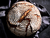 Homemade farmer's bread